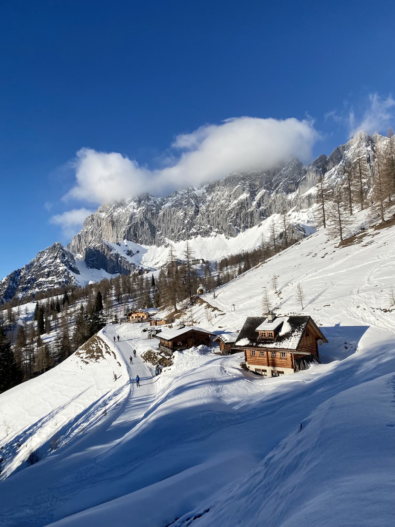 Blick auf den verschneiten Dachstein