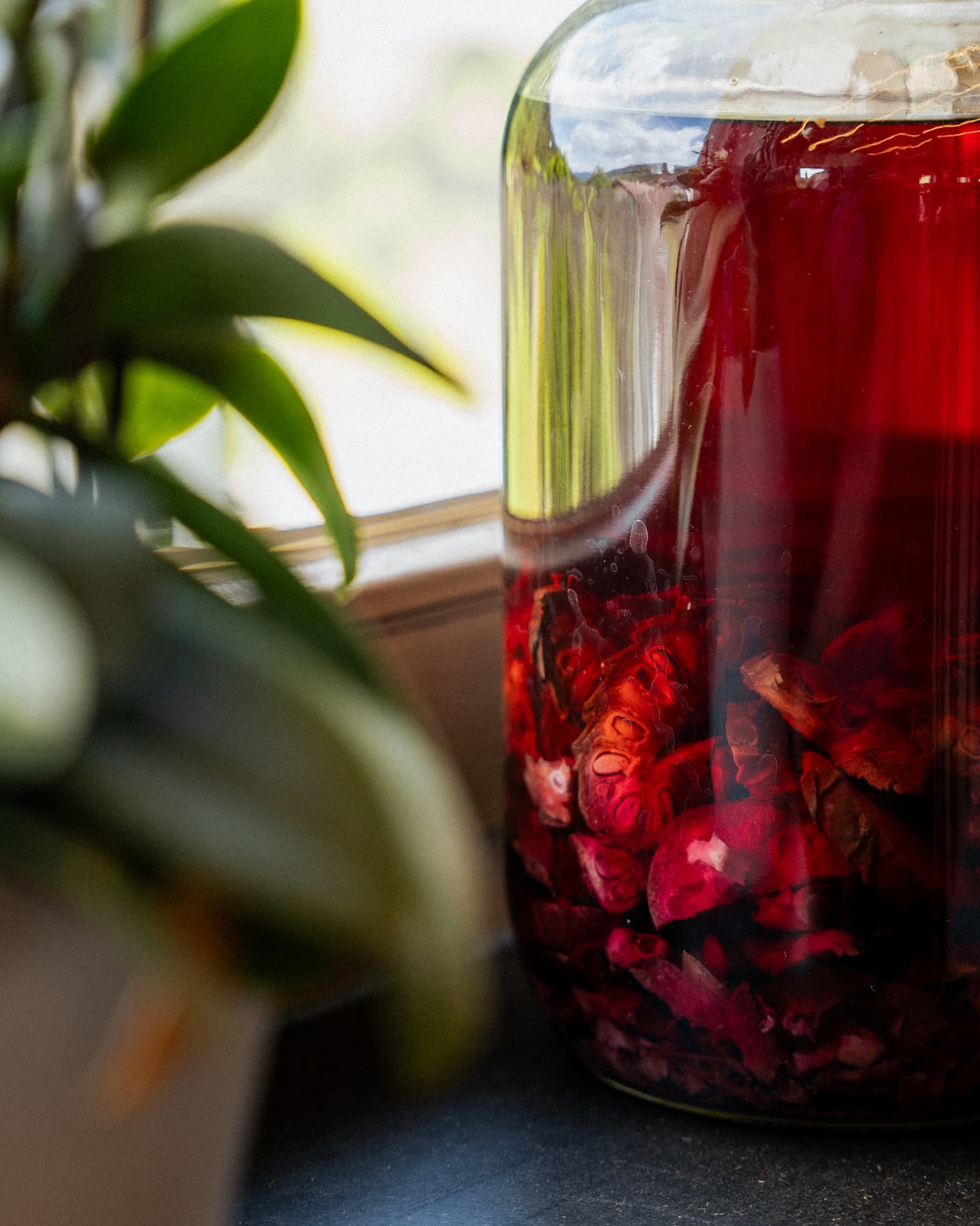 Zirbenschnaps mit den Zirben drinnen