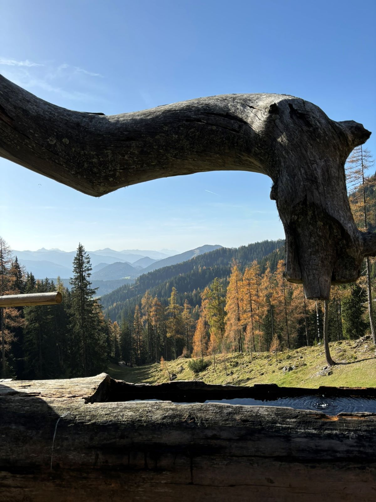 Lärchbodenalm