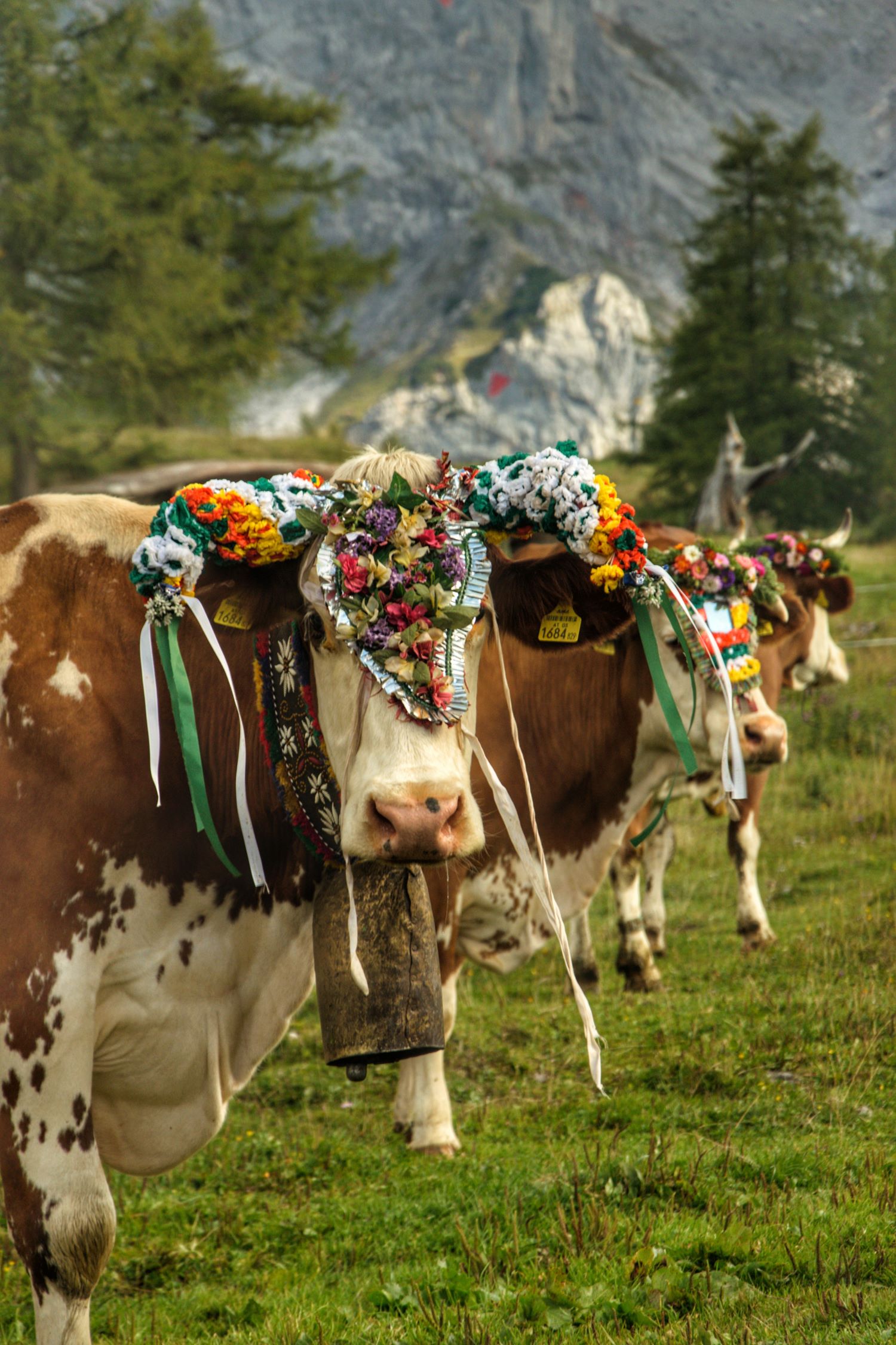 (c) TVB Schladming-Dachstein/Marlene Eggmayr
