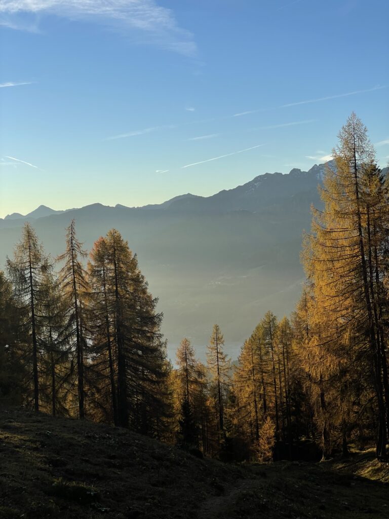 herbst